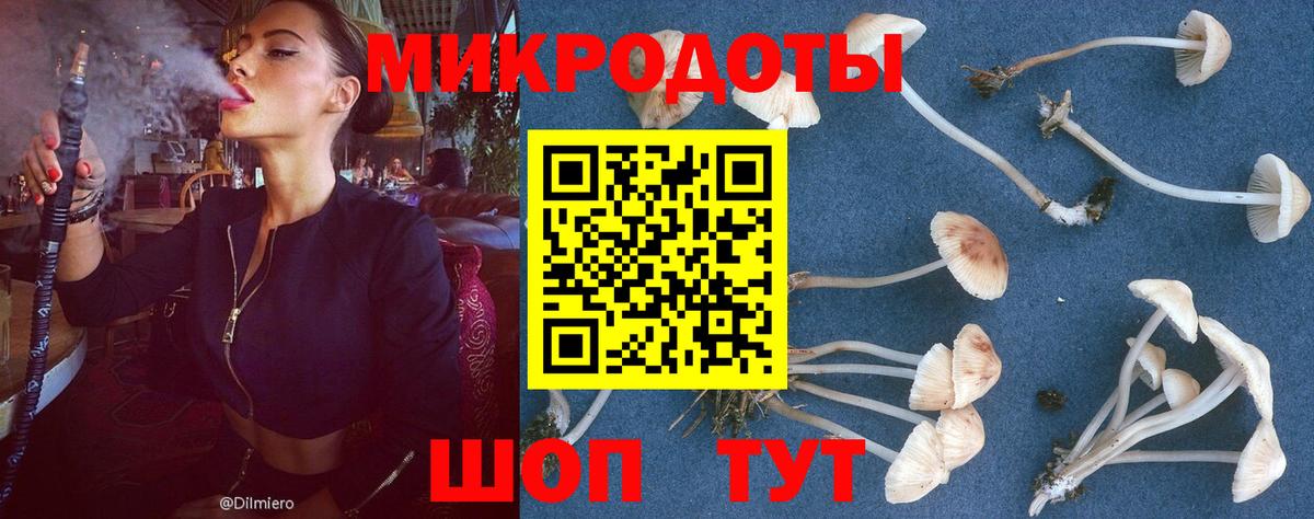 даркнет сайт  Вход с VPN  Москва  Псилоцибиновые грибы Psilocybe 