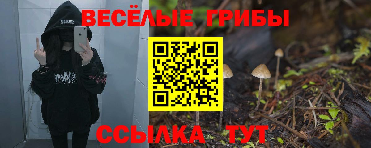Псилоцибиновые грибы MAGIC MUSHROOMS Москва